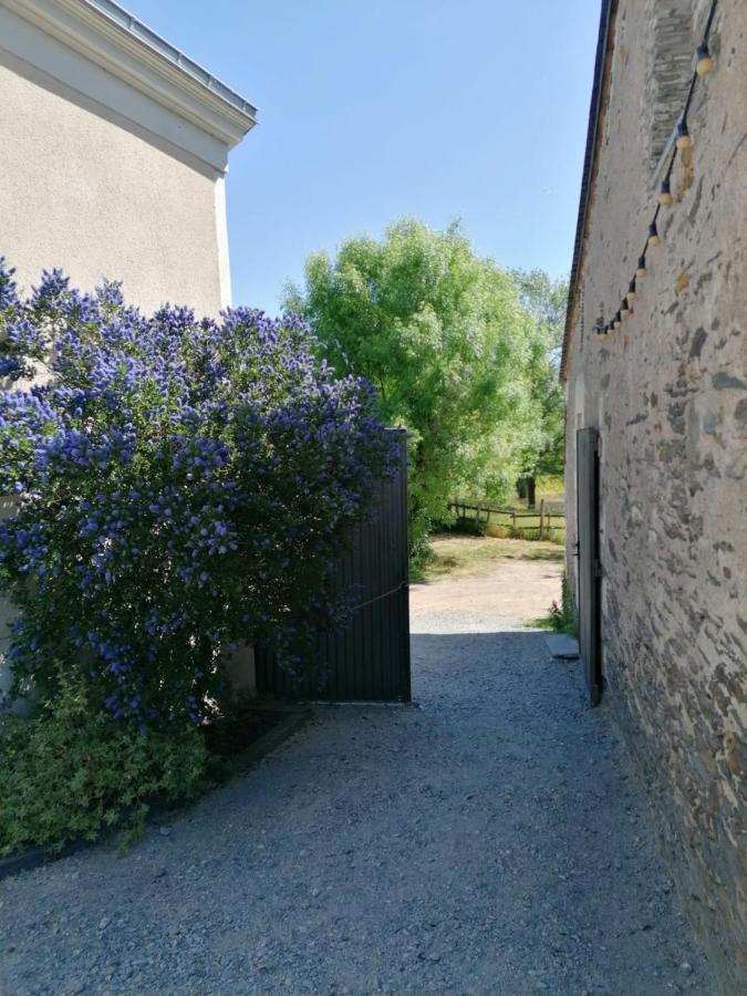 La Petite Boire - Chambres D'Hotes Pres D'Angers Murs-Erigne Luaran gambar