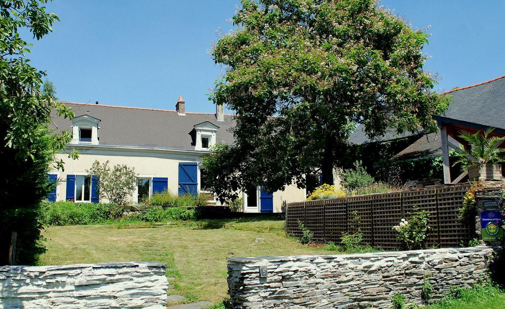 La Petite Boire - Chambres D'Hotes Pres D'Angers Murs-Erigne Bilik gambar
