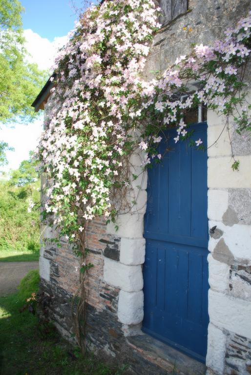 La Petite Boire - Chambres D'Hotes Pres D'Angers Murs-Erigne Luaran gambar